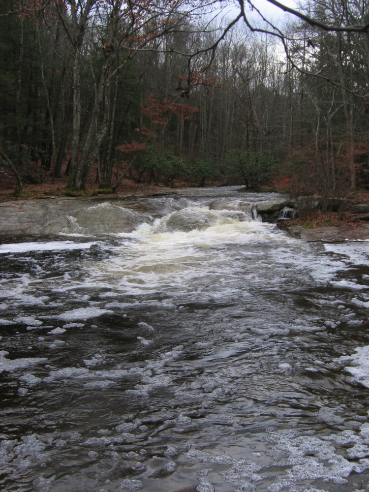 Peterskill Creek, at Alligerville swimming hole