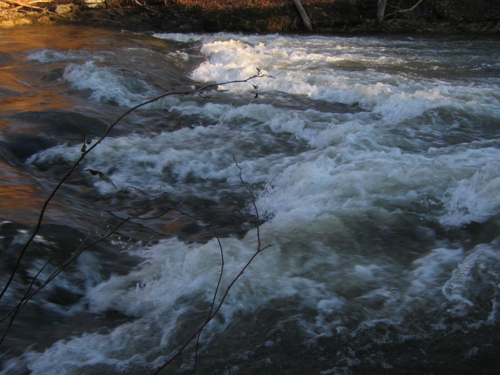Surf wave on Sawkill Creek, at lower water