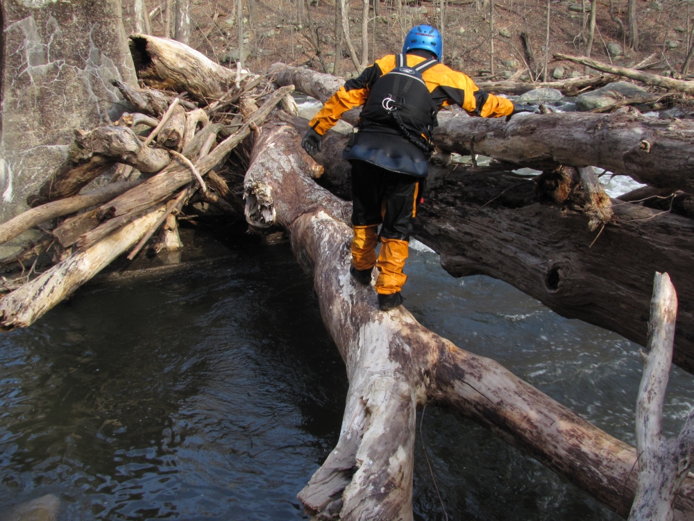 Crossing a fallen tree to scout Hell's Teeth, the class 4 rapid on Moodna Creek.